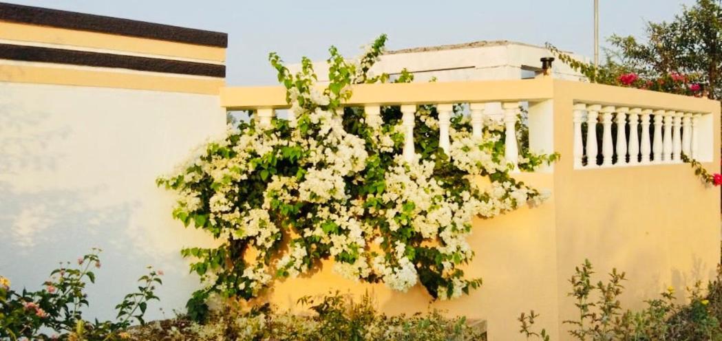 Royal Meadows - Igatpuri Bungalow B Εξωτερικό φωτογραφία